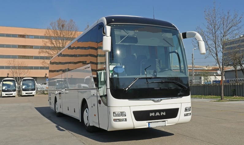 Buses operator in Ruda Śląska